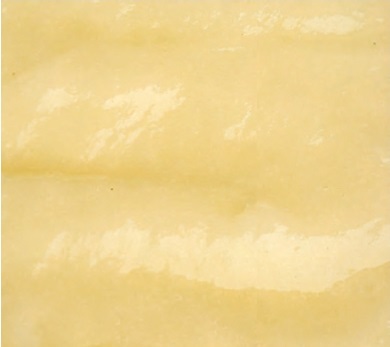 3704.jpg 3704.jpg